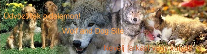 Dog and Wolf Site